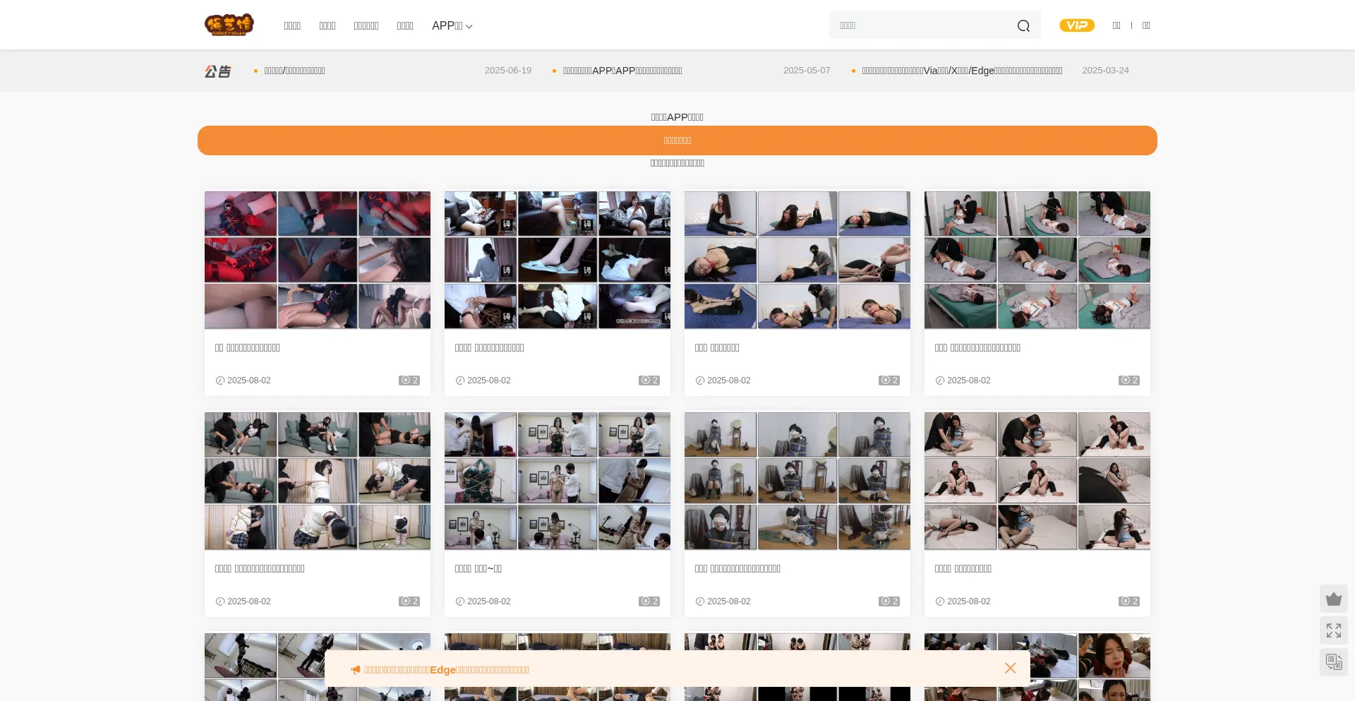 Website screenshot of Syg4.com