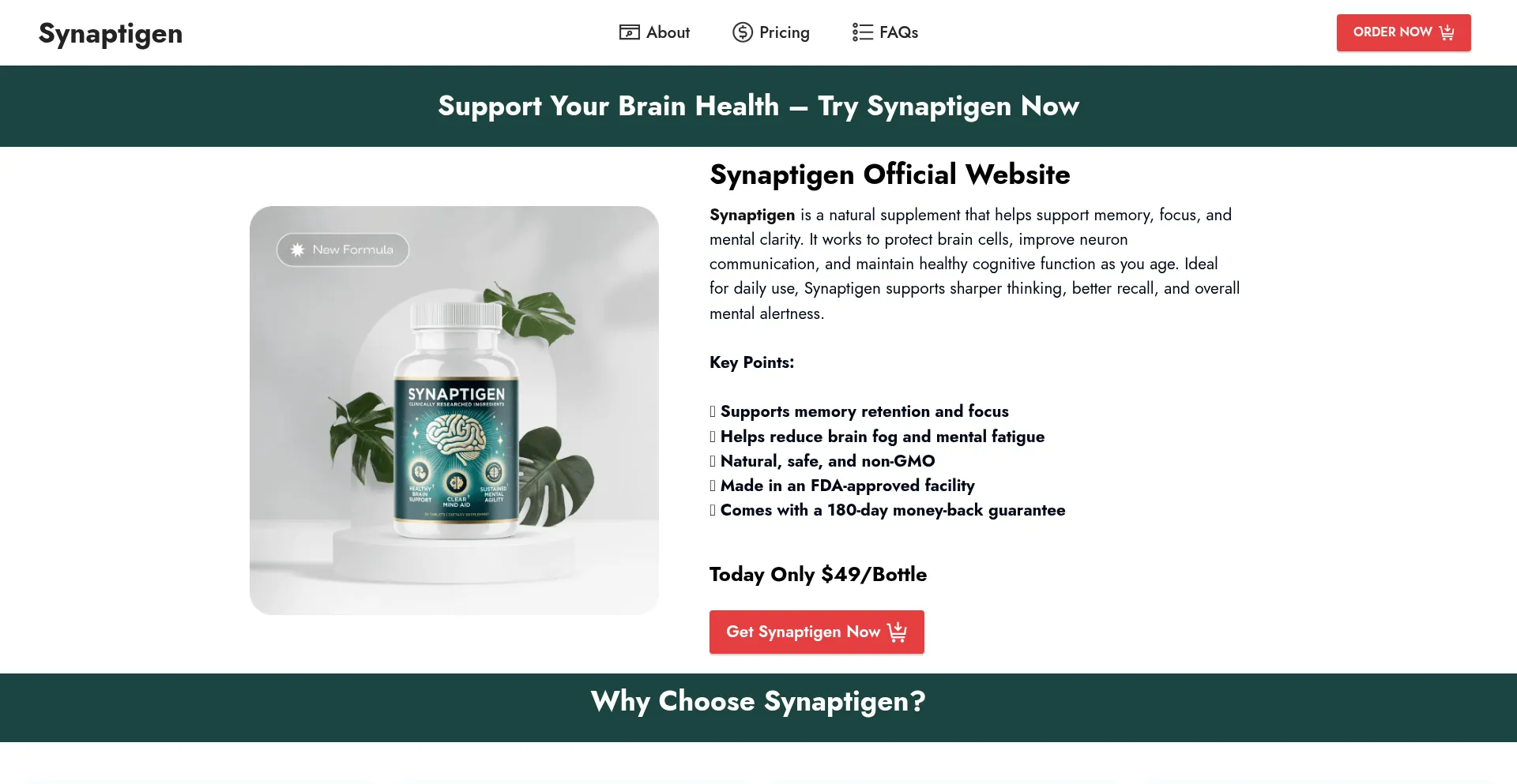 Synaptegin.com Screenshot