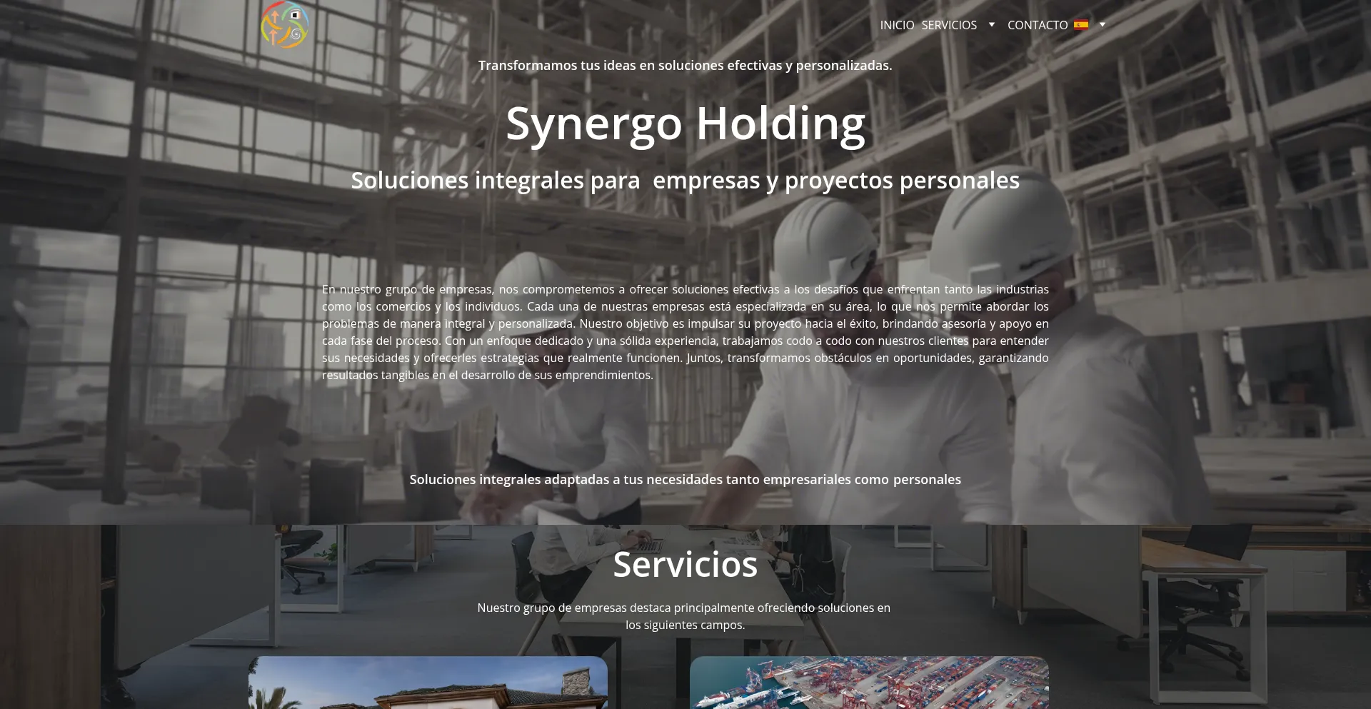 Synergoholding.com