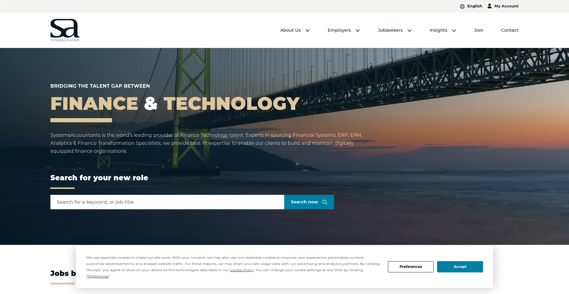 Website screenshot of Systemsaccountants.com