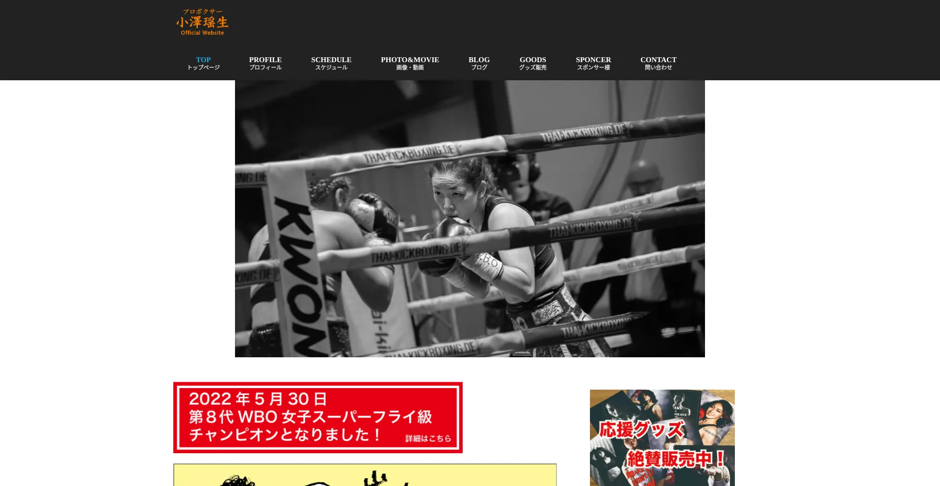 Tamao-ozawa.com