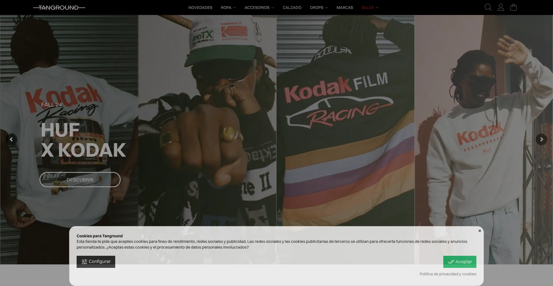 Website screenshot of Tanground.com