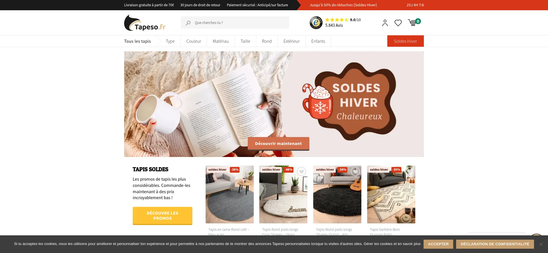 Website screenshot of Tapeso.fr