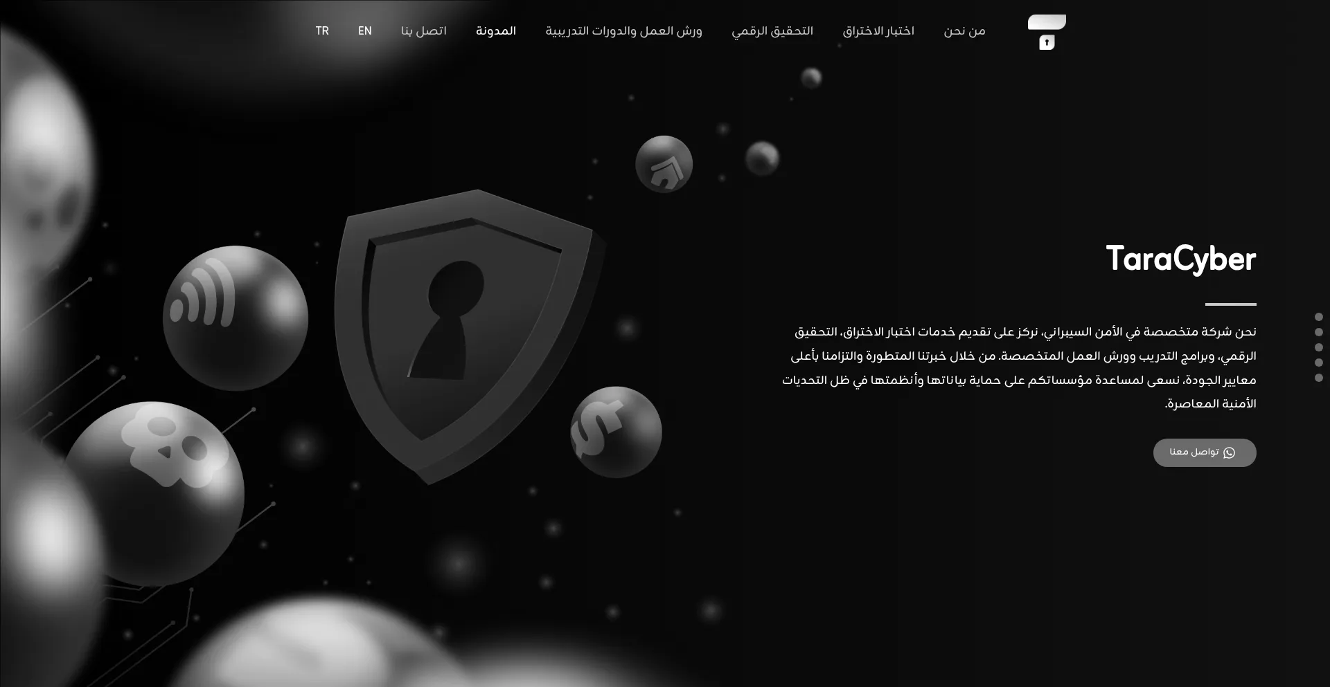 Website screenshot of Taracyber.com