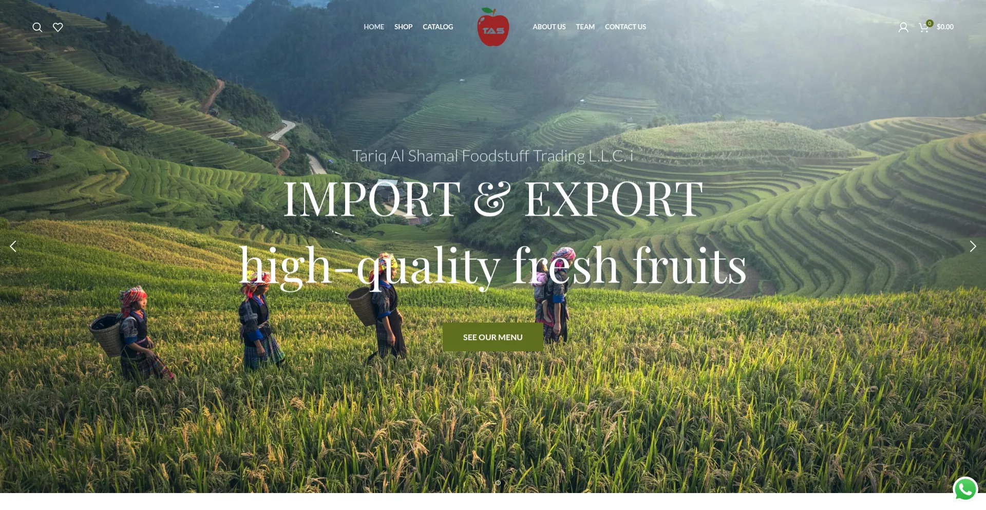 Website screenshot of Tariqalshamal.ae