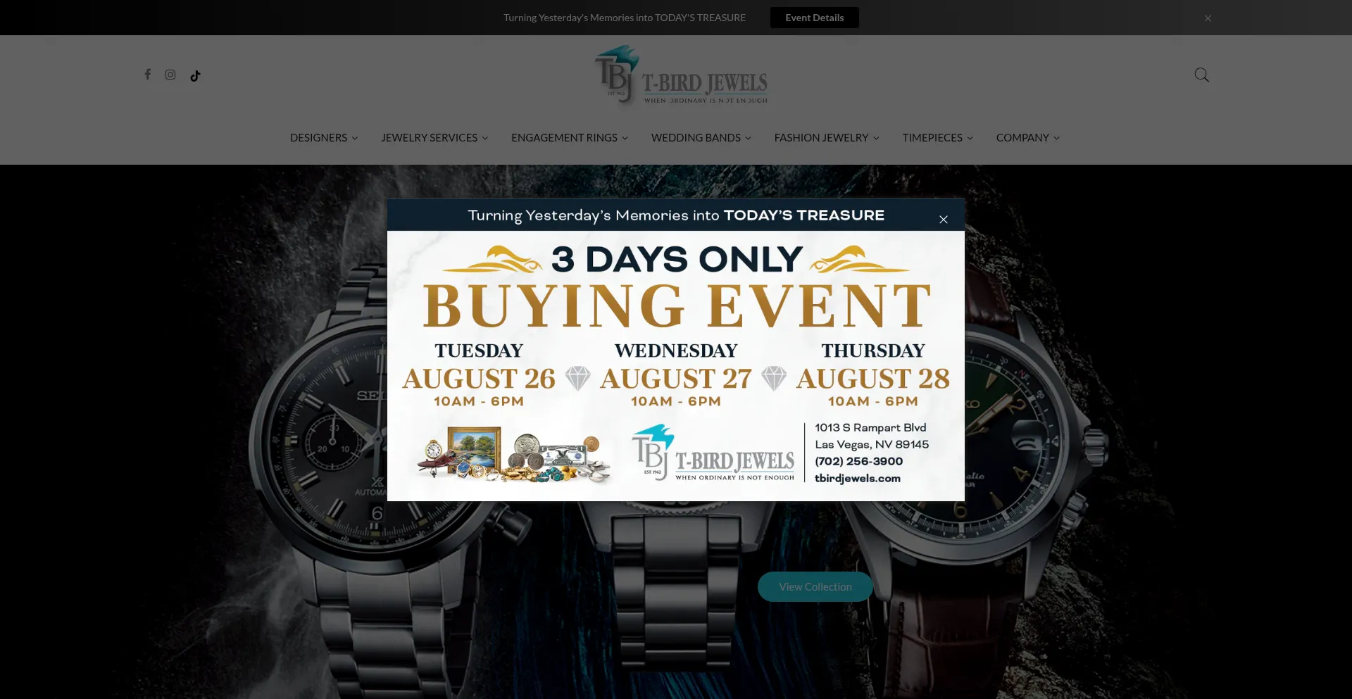 Website screenshot of Tbirdjewels.com