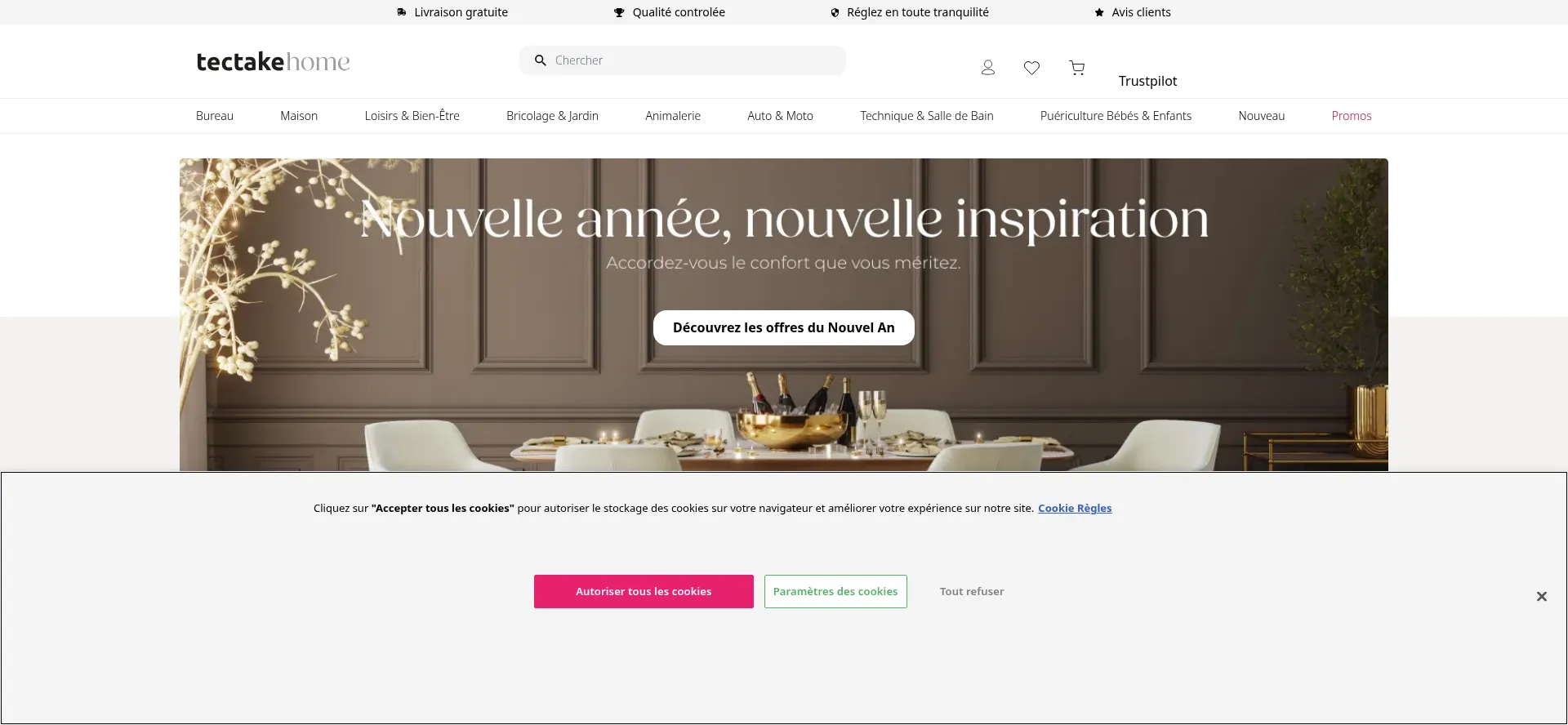 Website screenshot of Tectake.fr