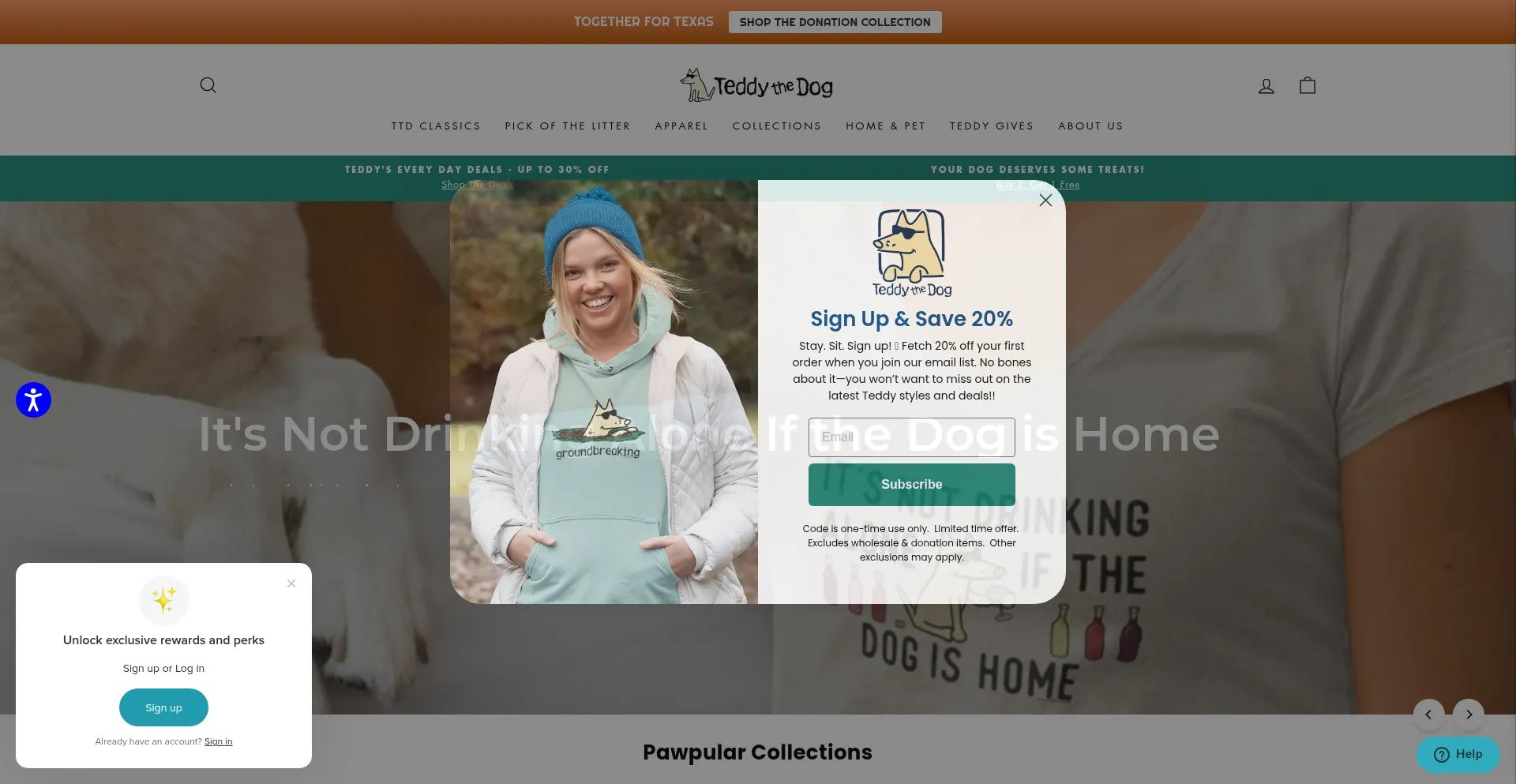 Website screenshot of Teddythedog.com