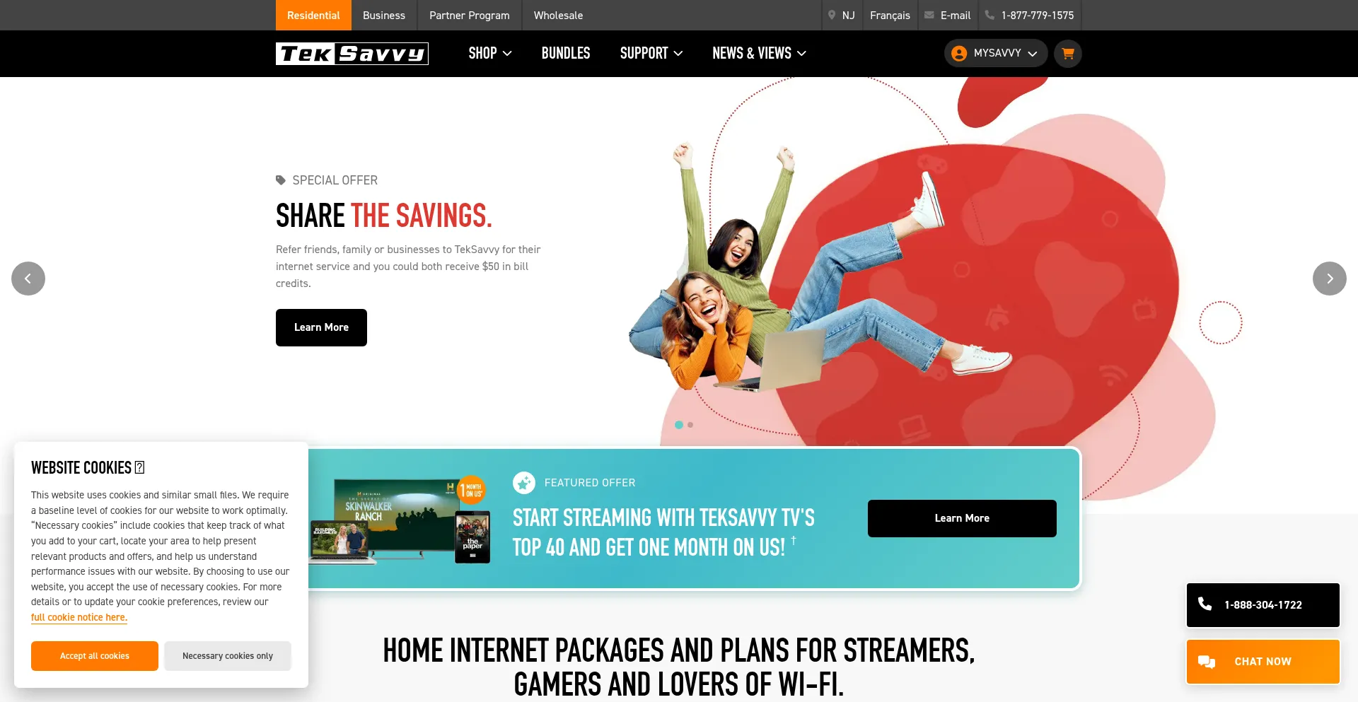 Website screenshot of Teksavvy.com