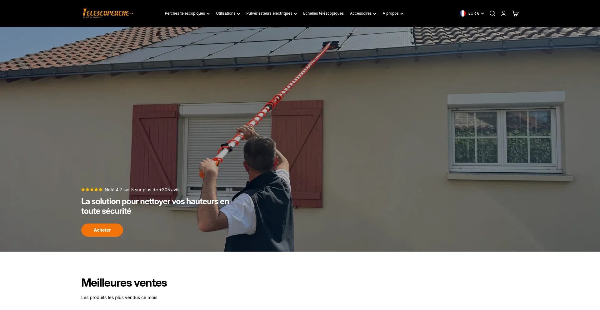 Website screenshot of Telescoperche.com