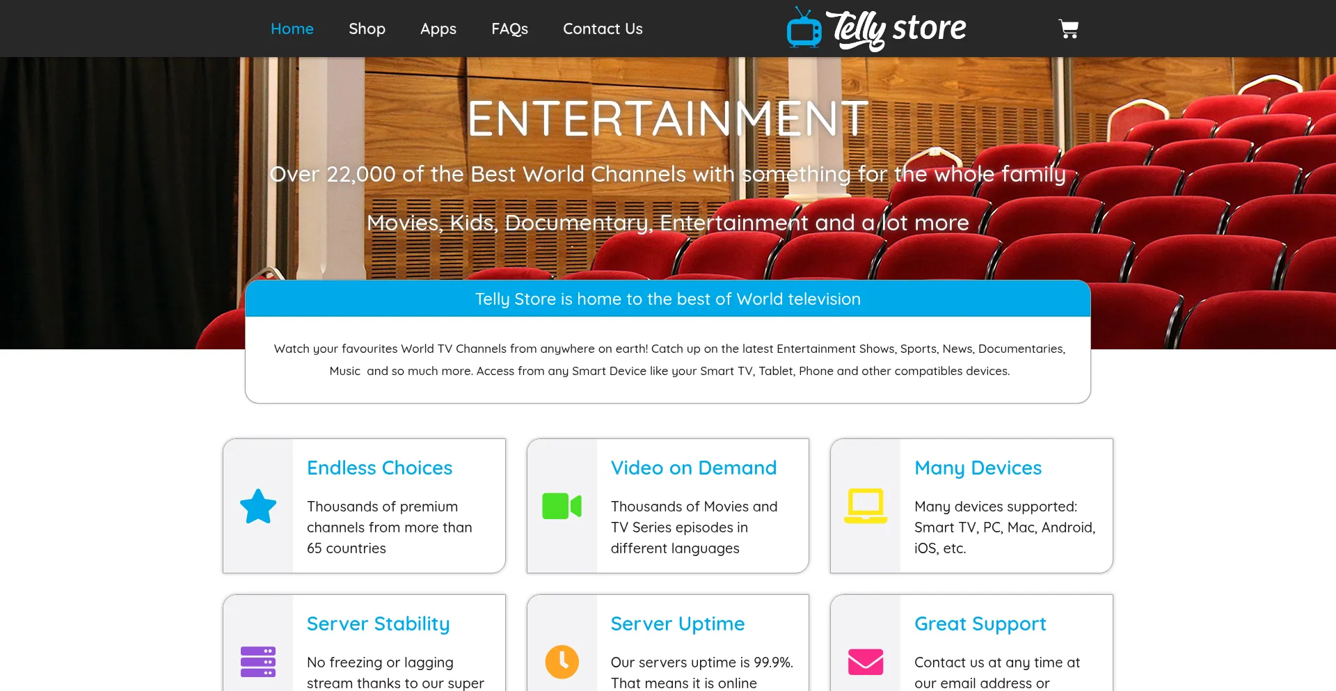 Website screenshot of Telly-store.com