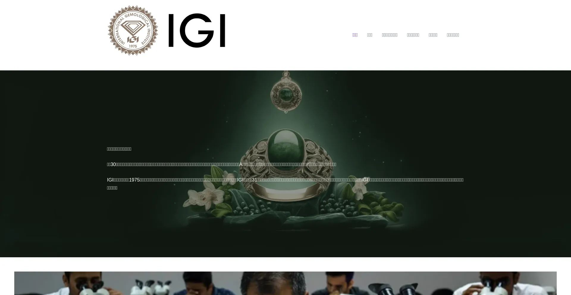 Website screenshot of Temnum.com