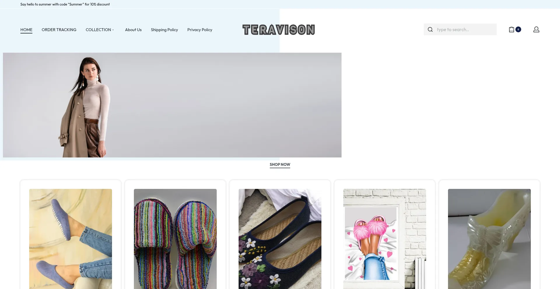 Website screenshot of Teravison.com