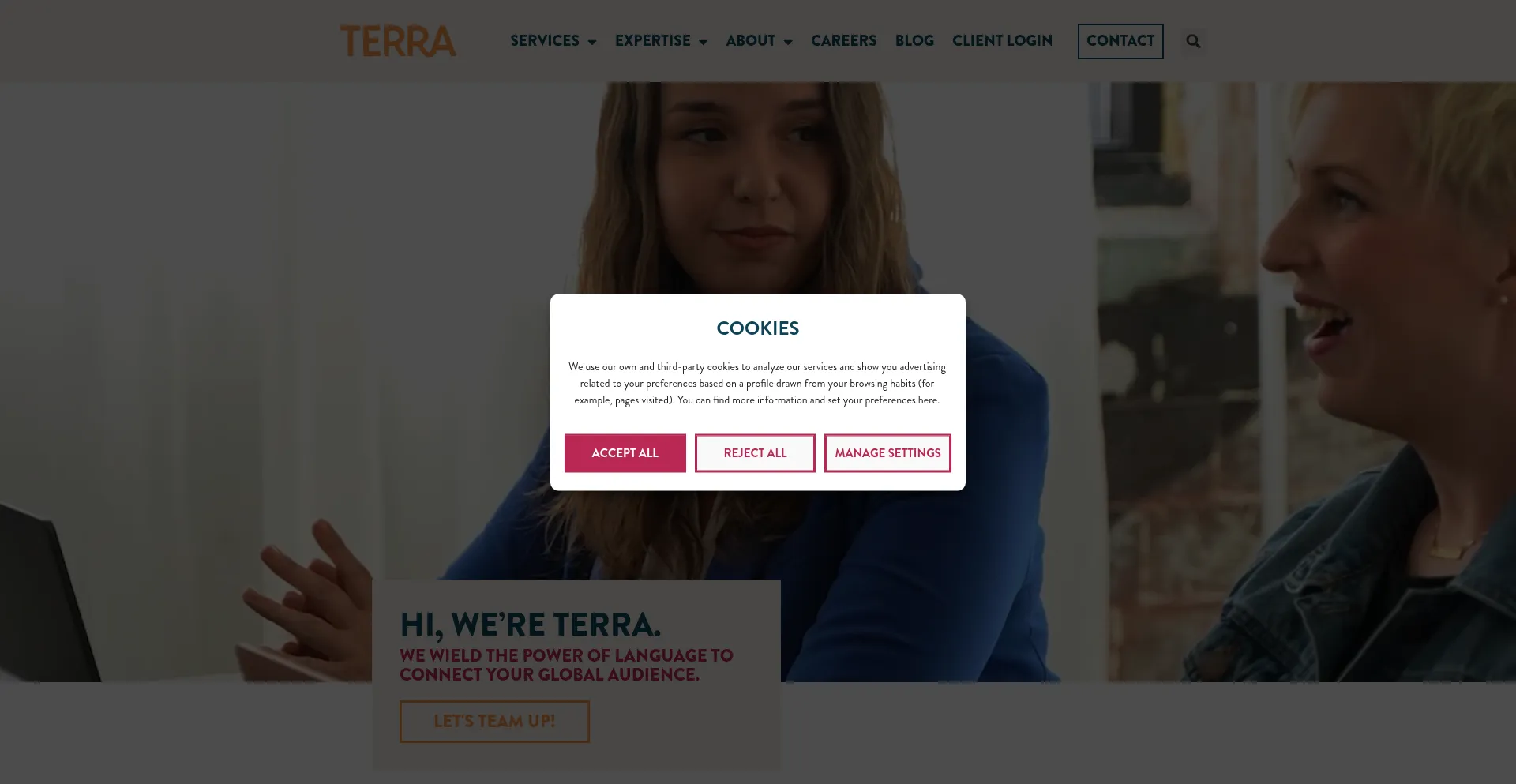 Website screenshot of Terratranslations.com