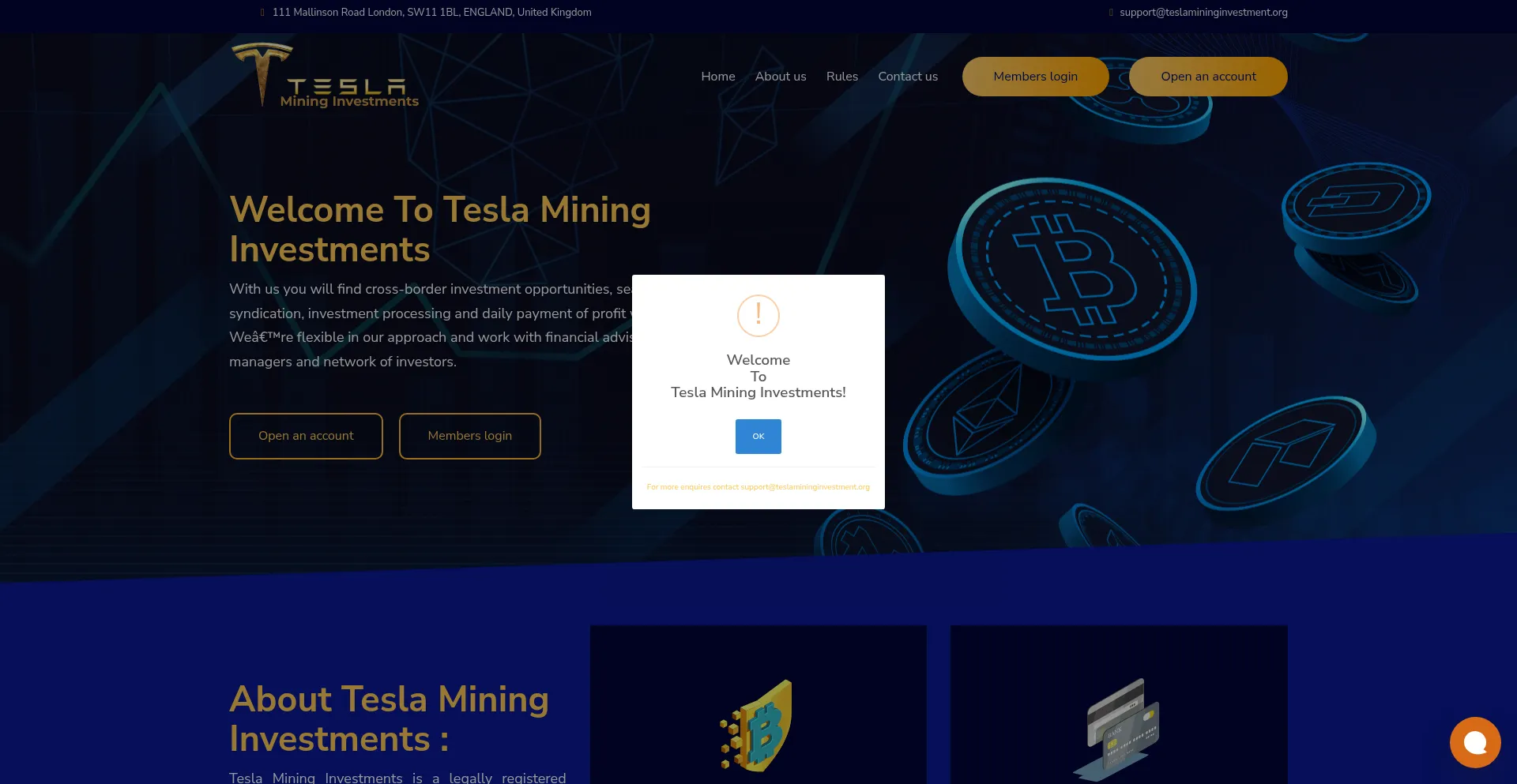 Website screenshot of Teslamininginvestment.org