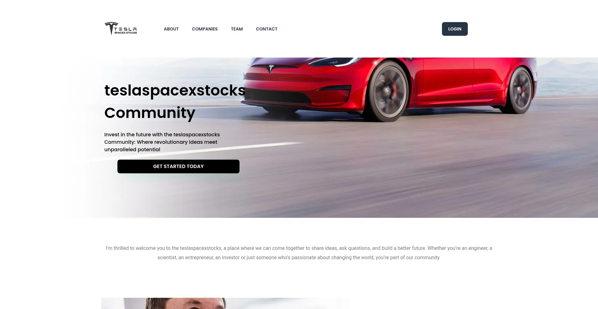 Website screenshot of Teslaspacexstocks.com