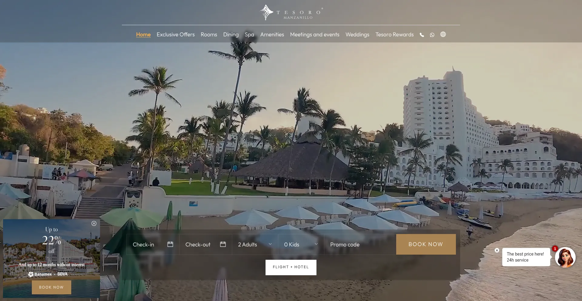 Website screenshot of Tesoromanzanillo.com
