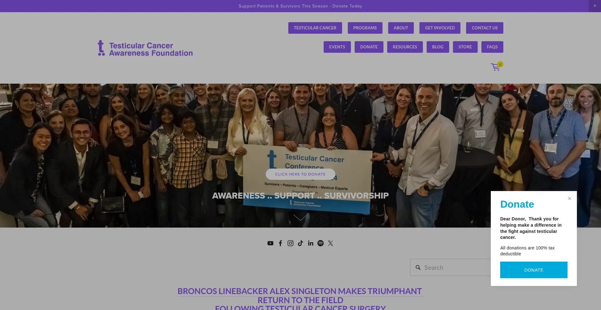 Testicularcancerawarenessfoundation.org