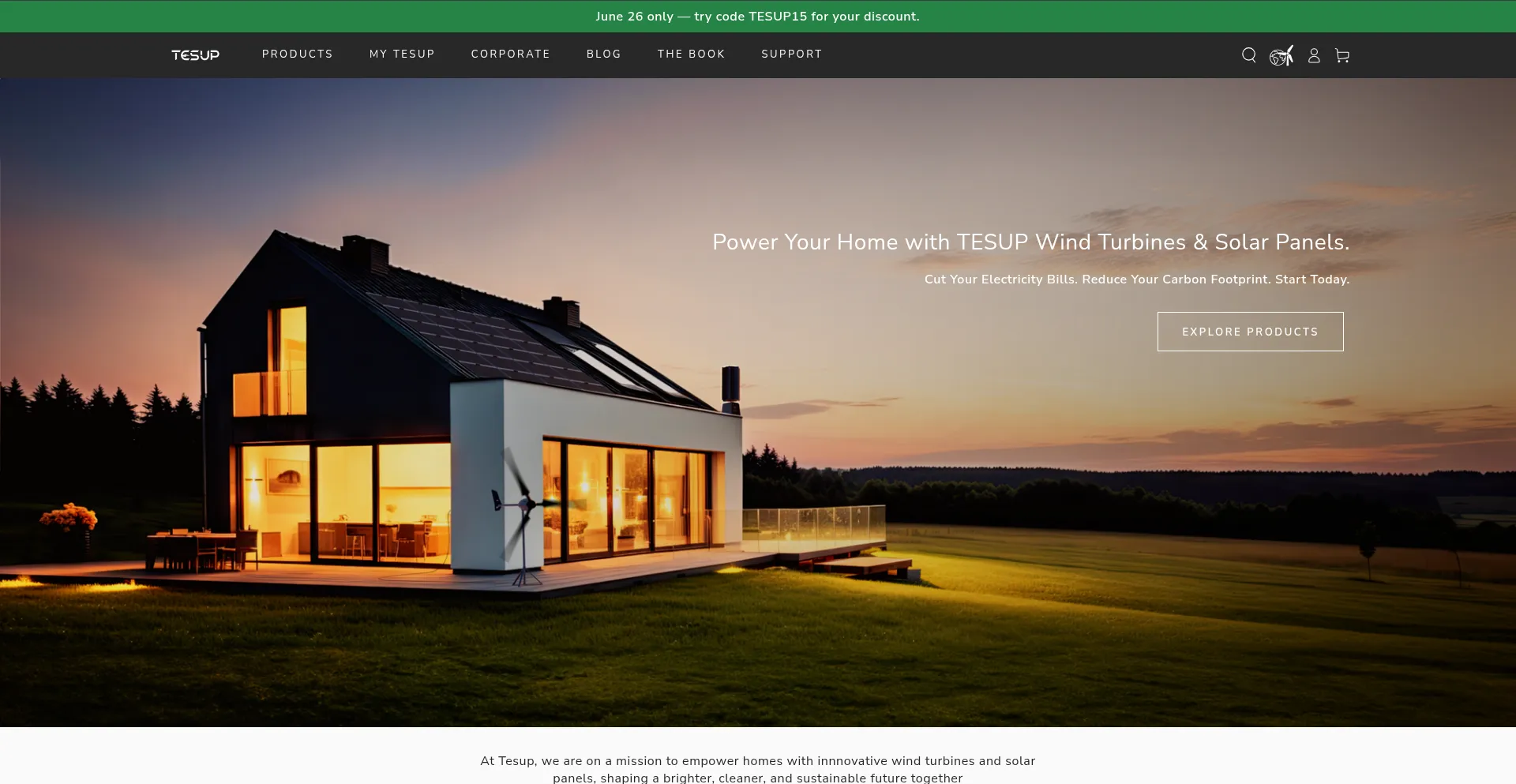 Website screenshot of Tesup.com
