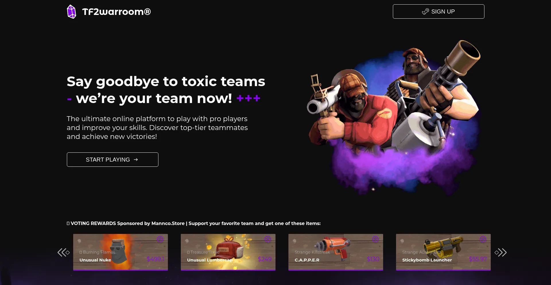 Website screenshot of Tf2warroom.com