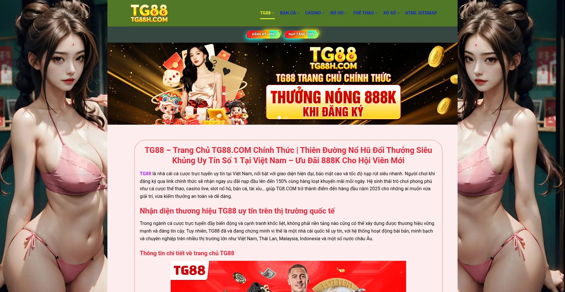 Tg88h.com