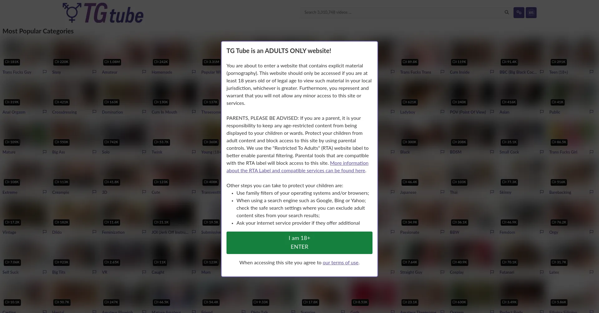 Website screenshot of Tgtube.com