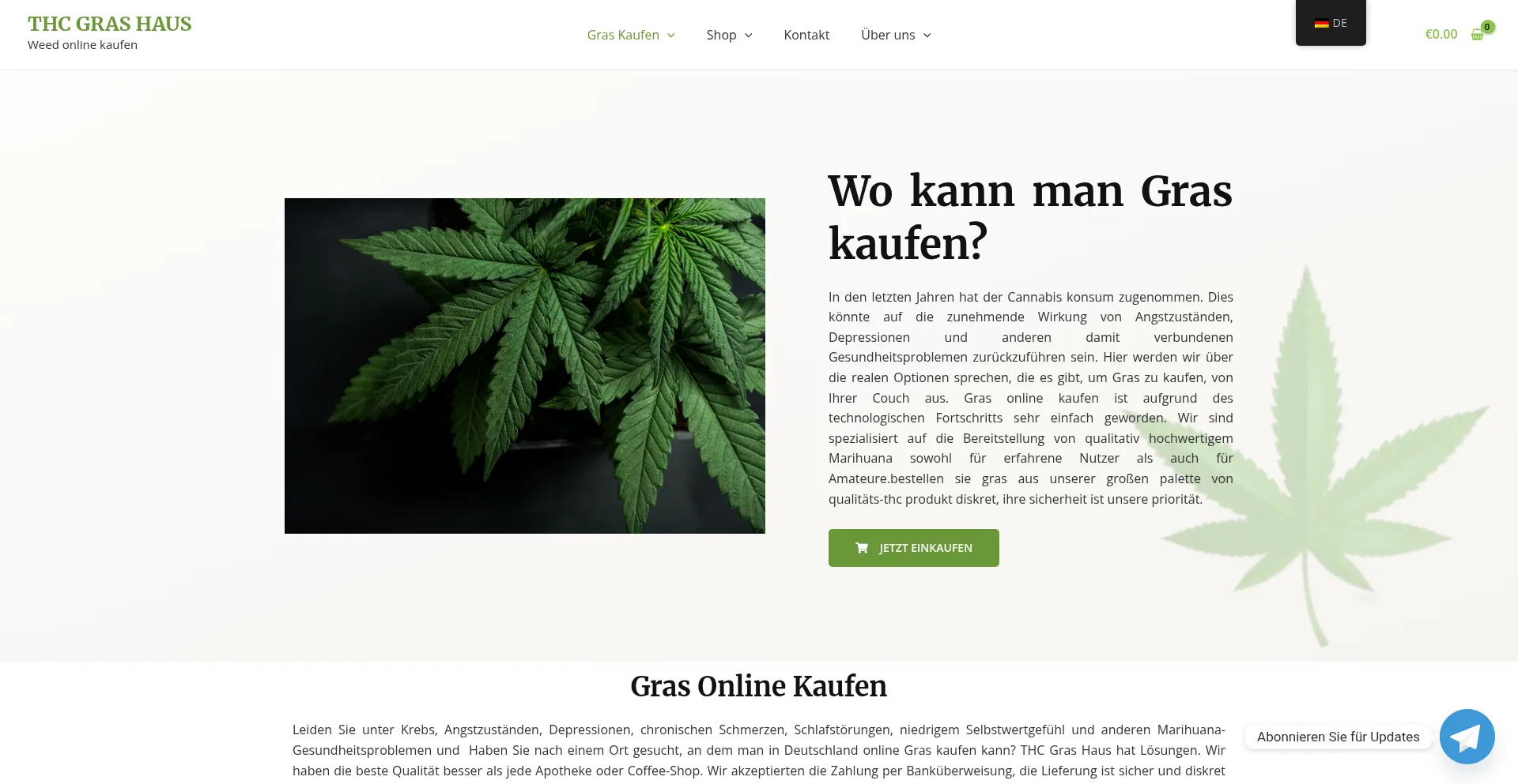 Website screenshot of Thcgrashaus.com