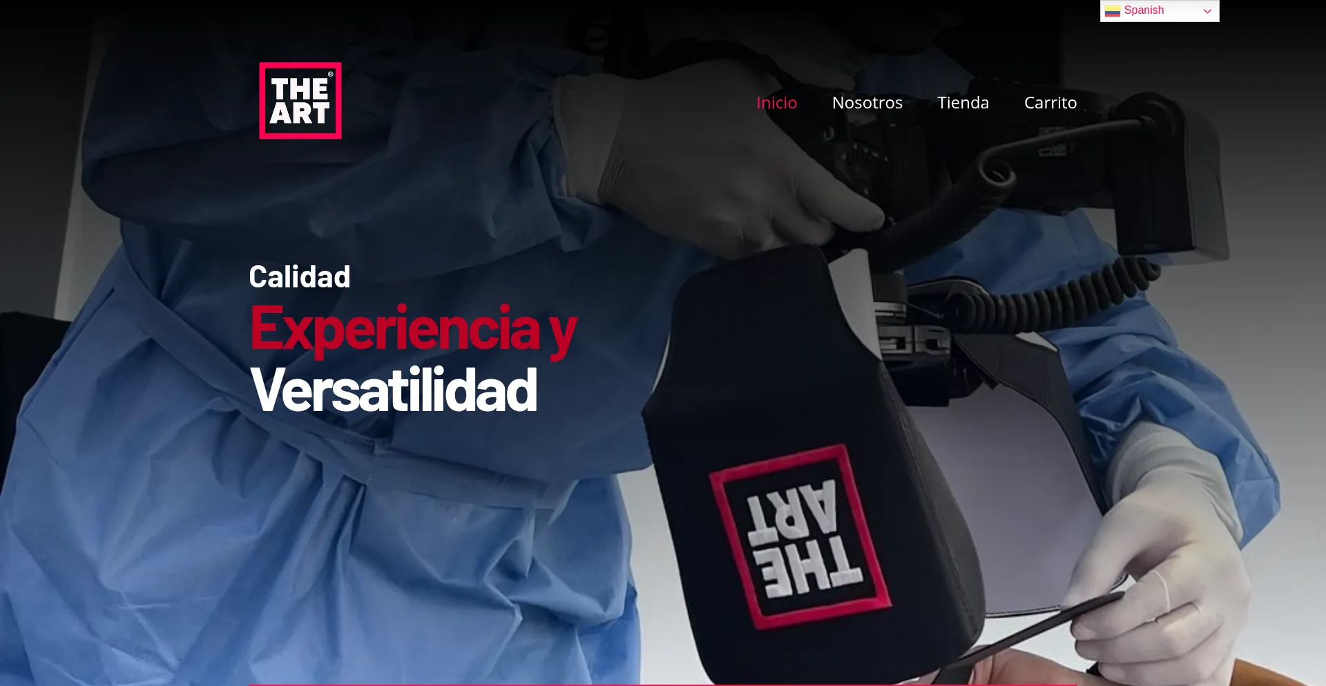 ¿És Seguro y Confiable Theartofthedentalpicture.com?