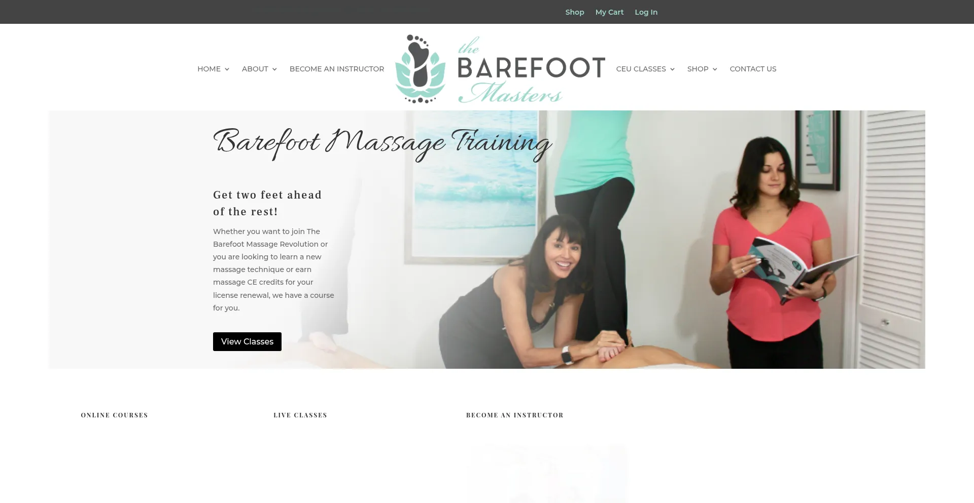 Website screenshot of Thebarefootmasters.com