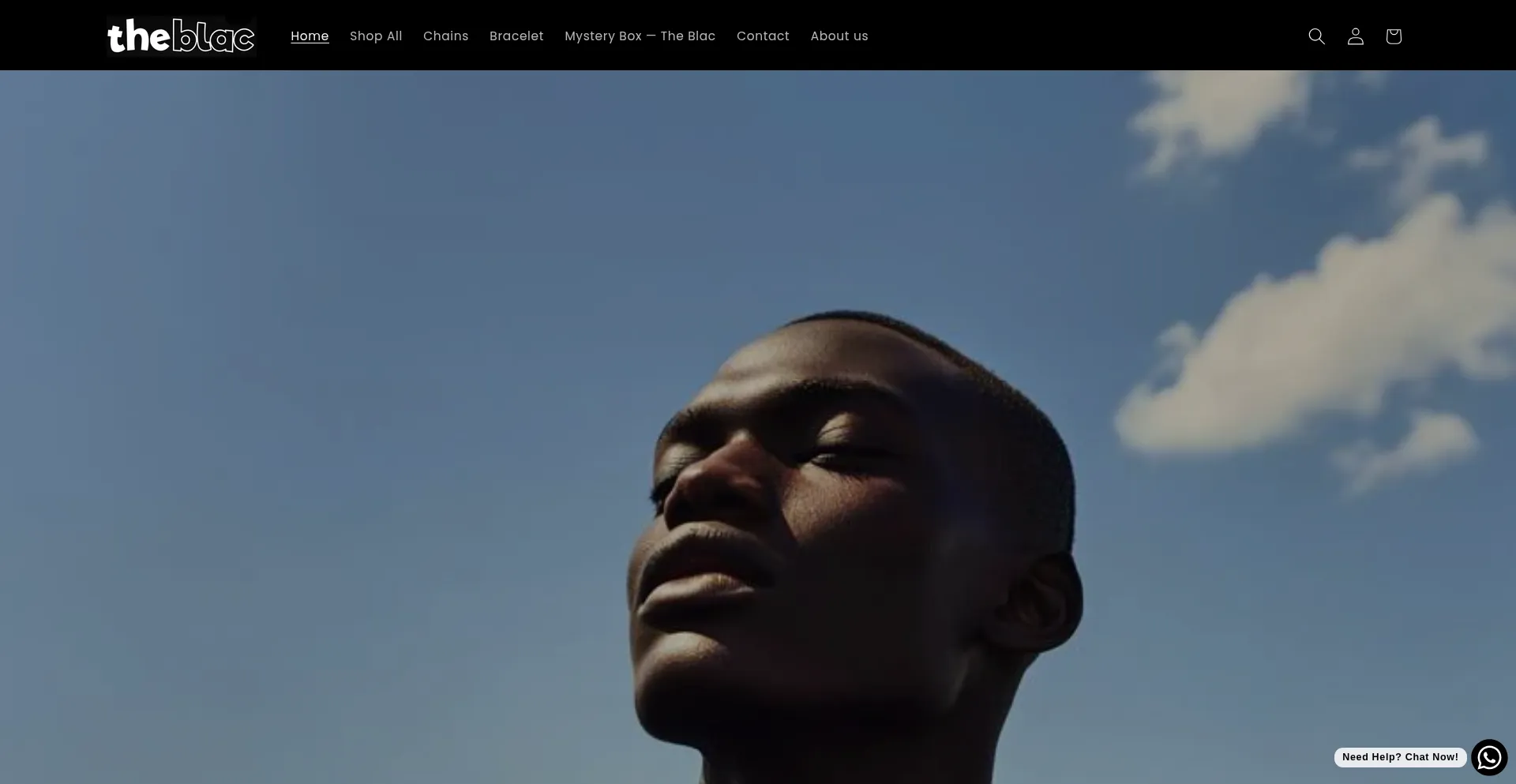 Website screenshot of Theblac.in