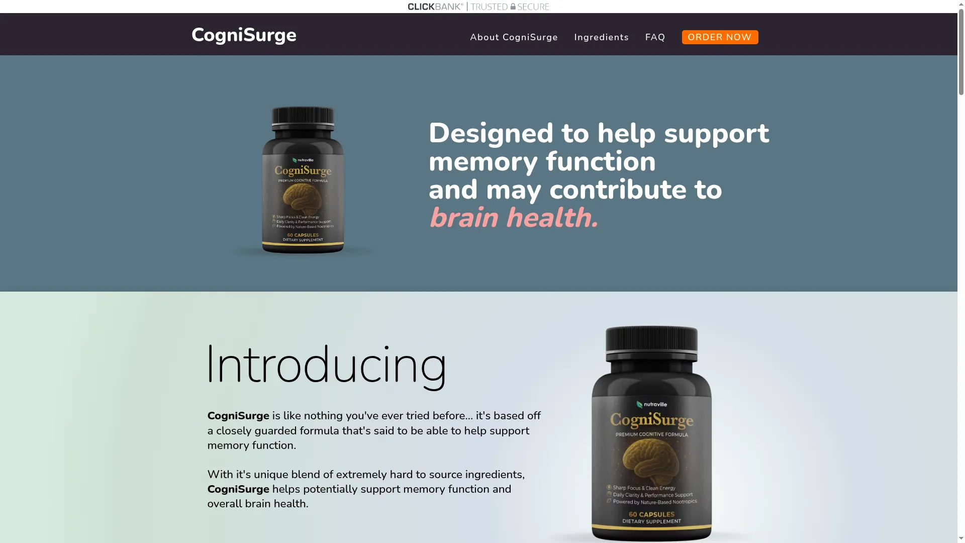 Thecognisurge.com