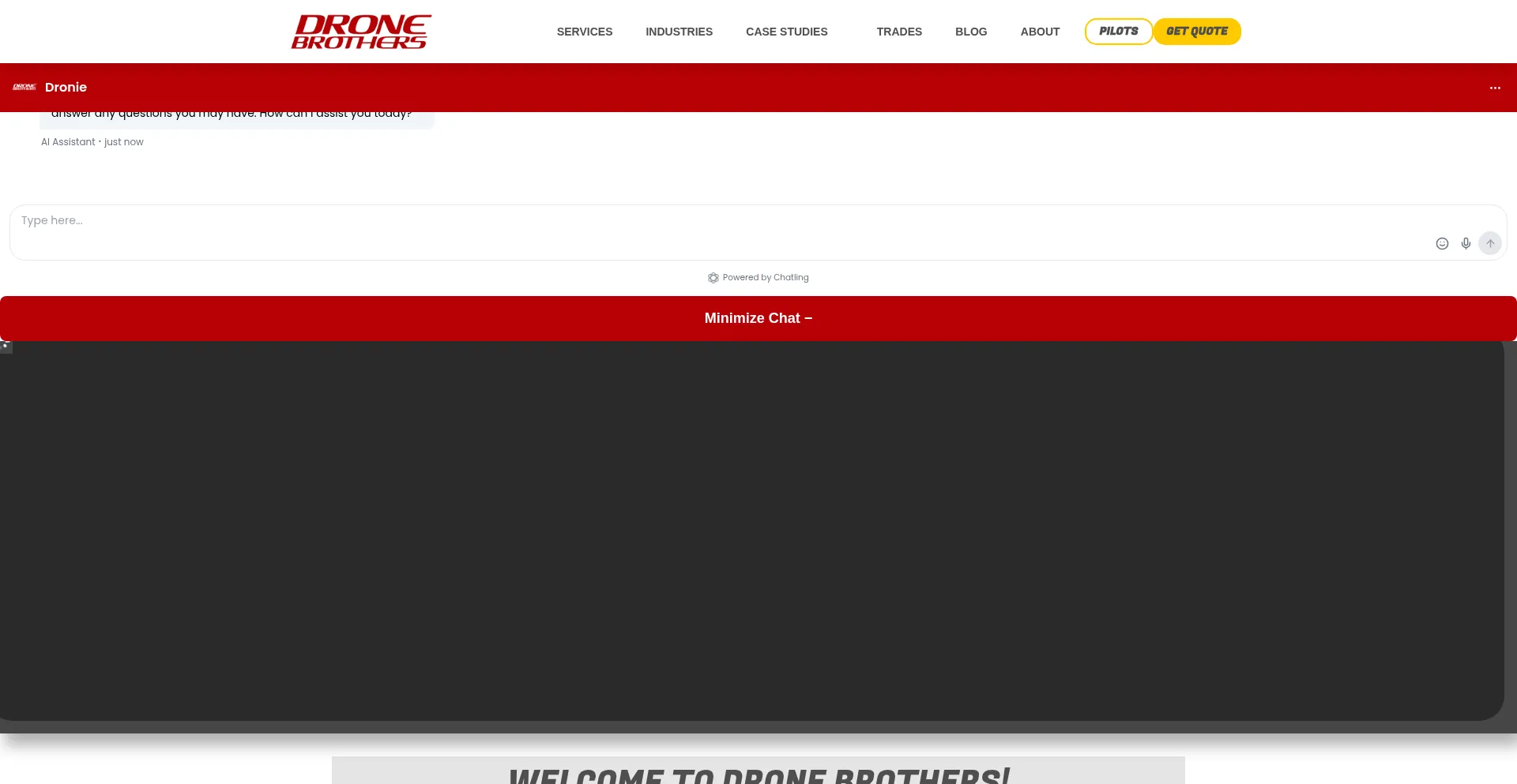 Thedronebrothers.com