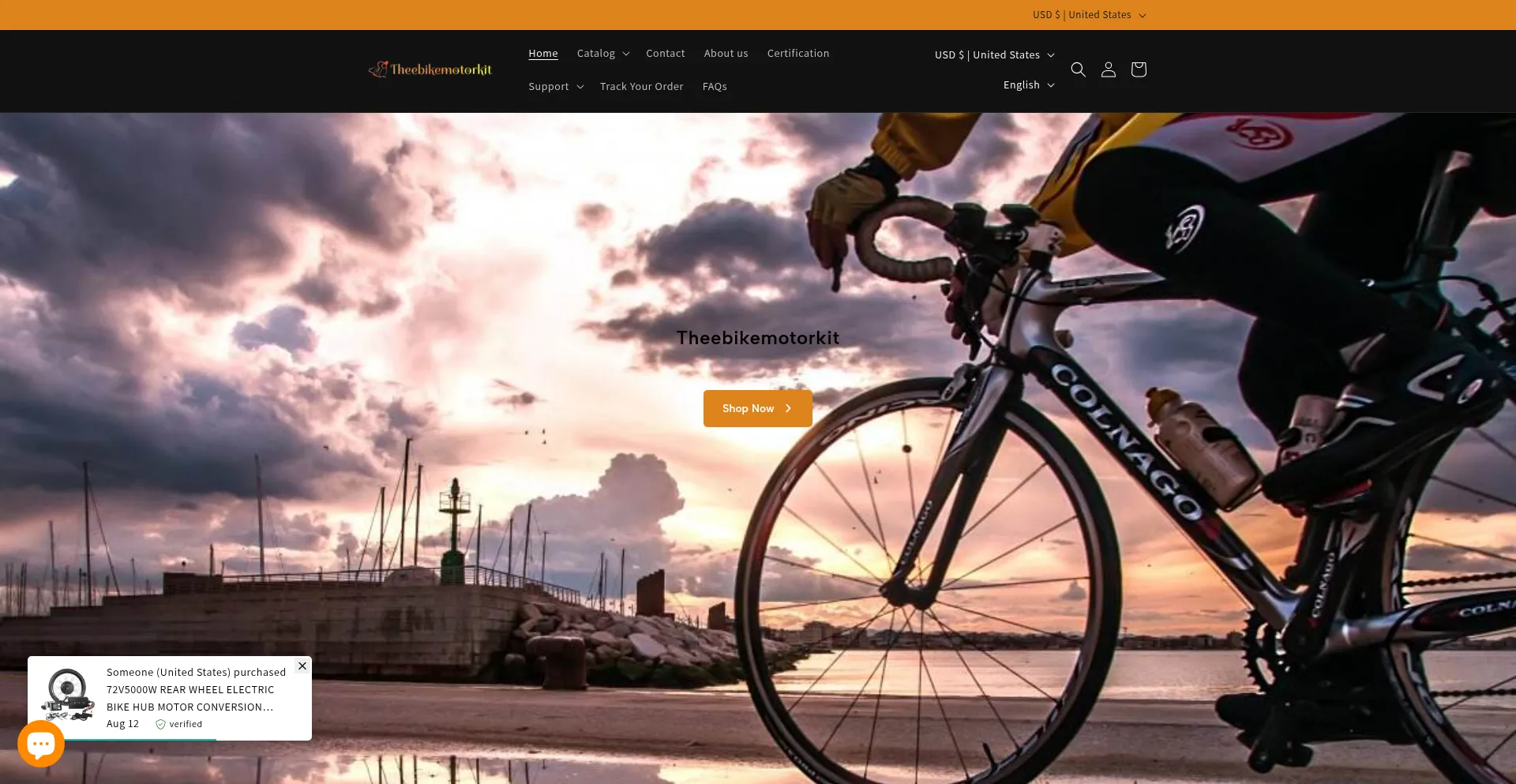 Website screenshot of Theebikemotorkit.com