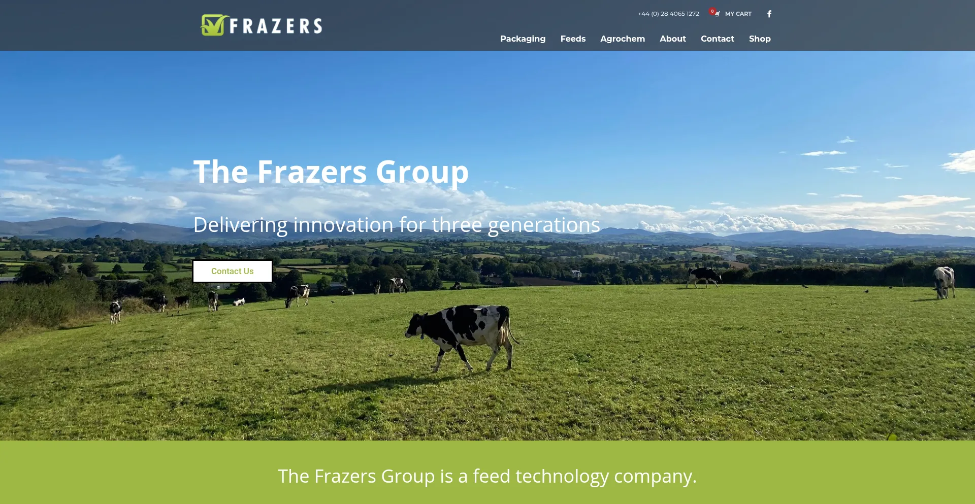 Thefrazersgroup.com