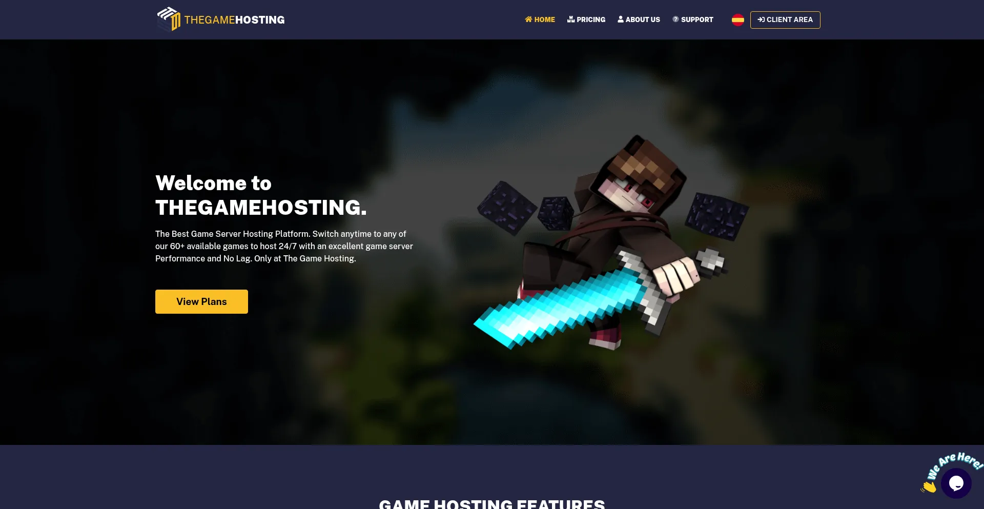 Website screenshot of Thegamehosting.com