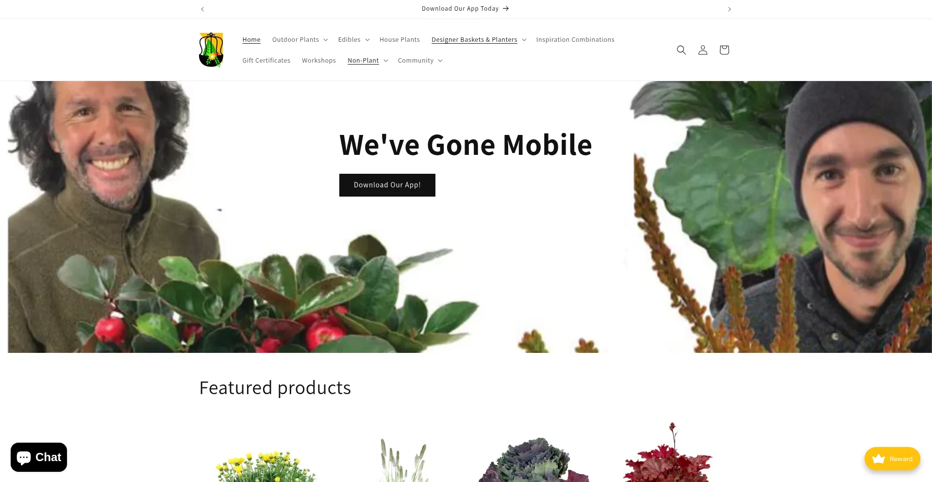 ¿És Seguro y Confiable Thegardencorner.com?