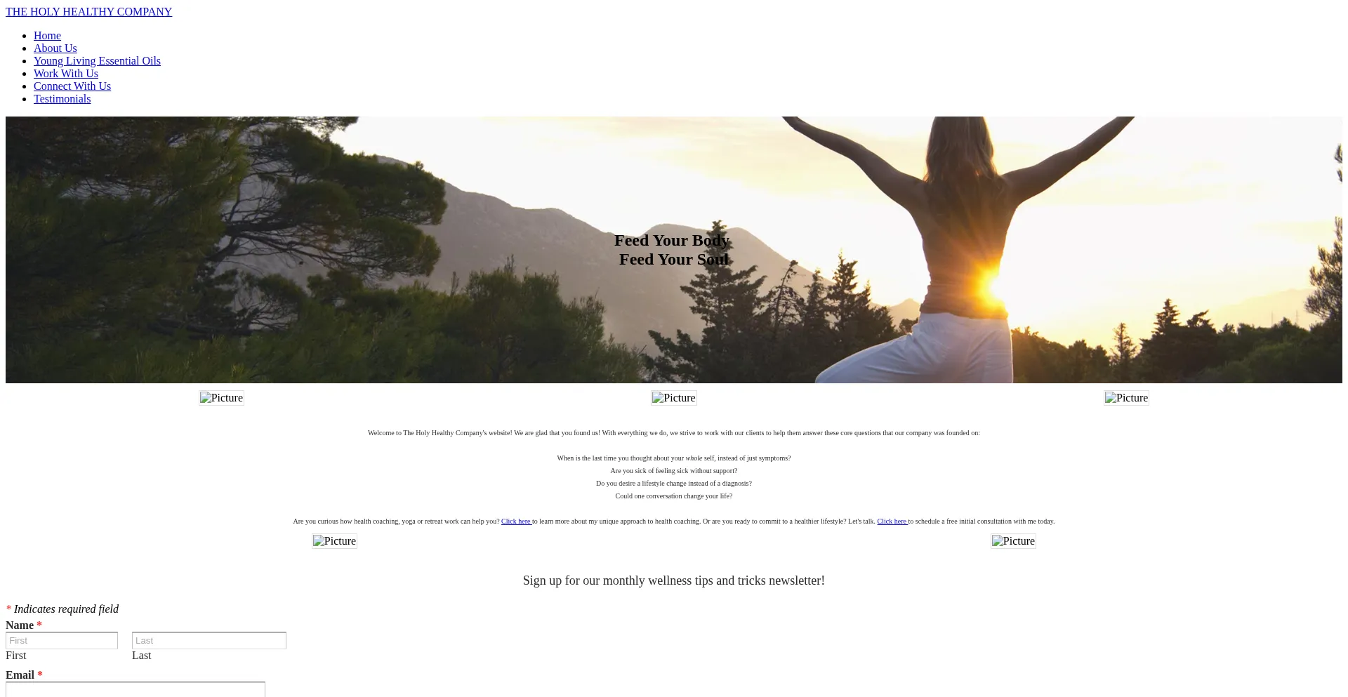 Theholyhealthycompany.com