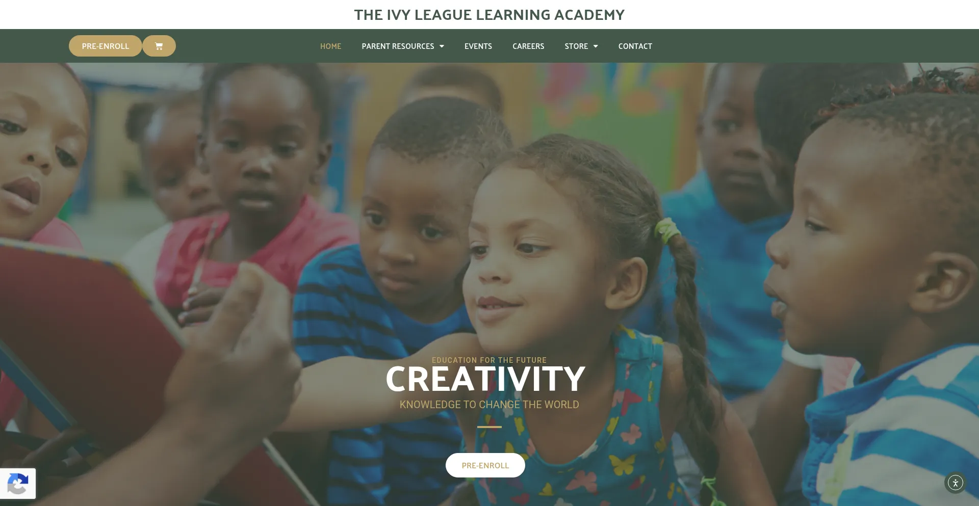 Theivyleaguelearningacademy.com
