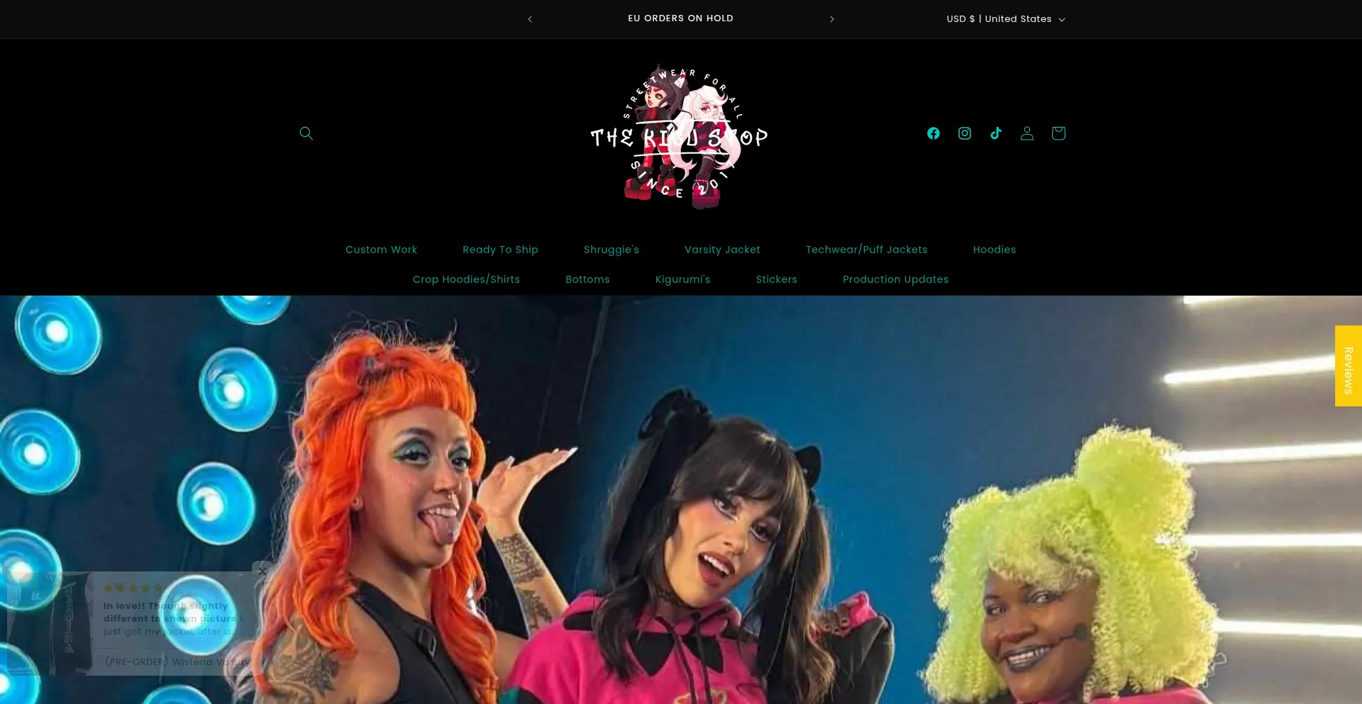 Website screenshot of Thekigustop.com