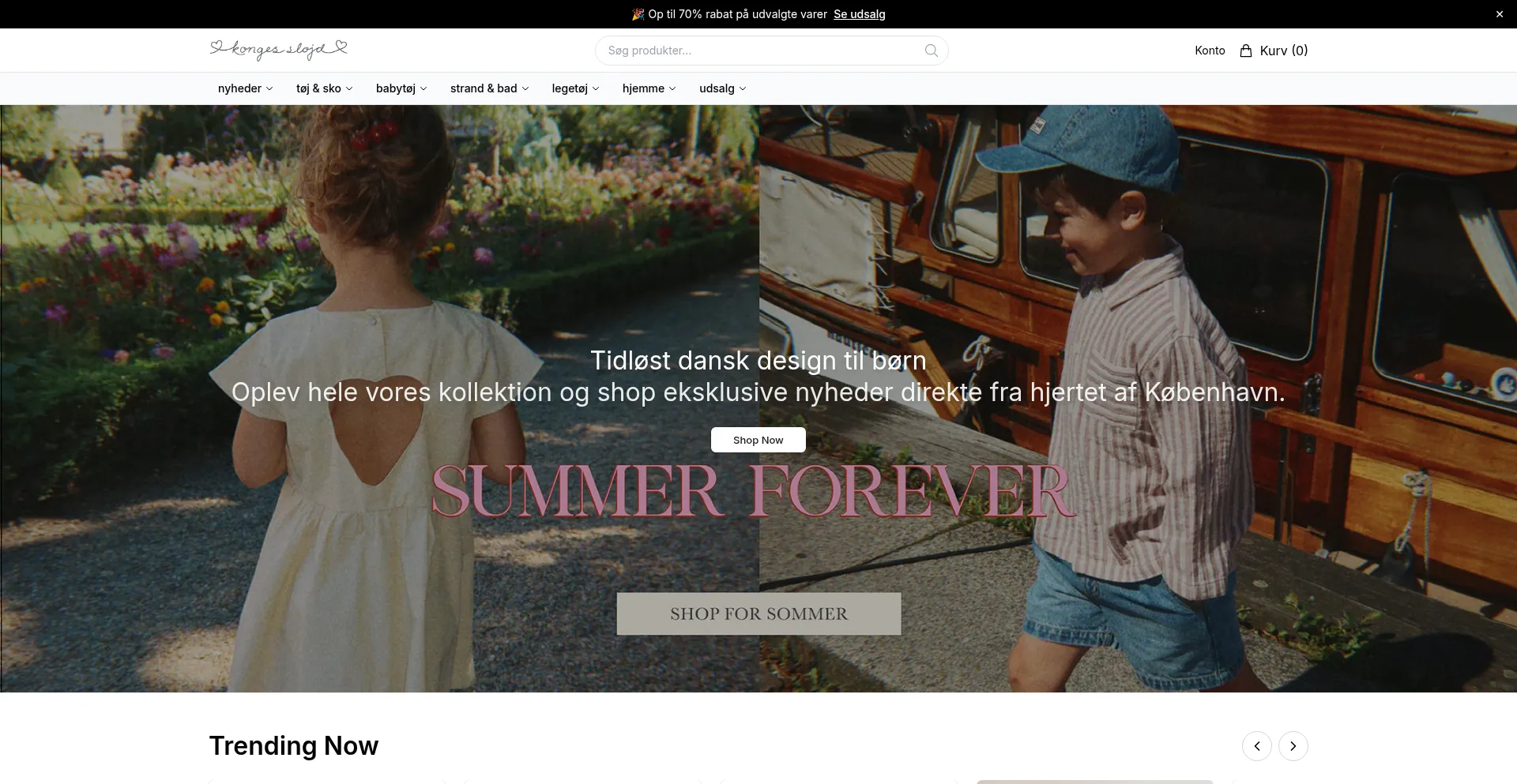 Thekongessloejd.shop