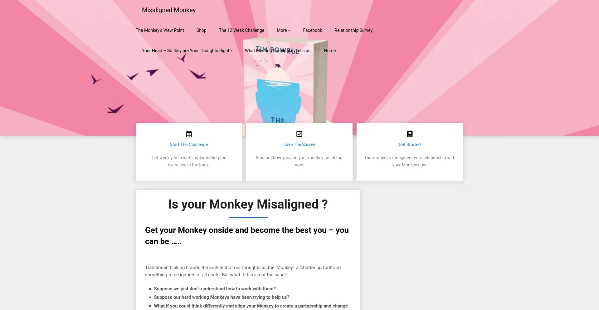Themisalignedmonkey.com
