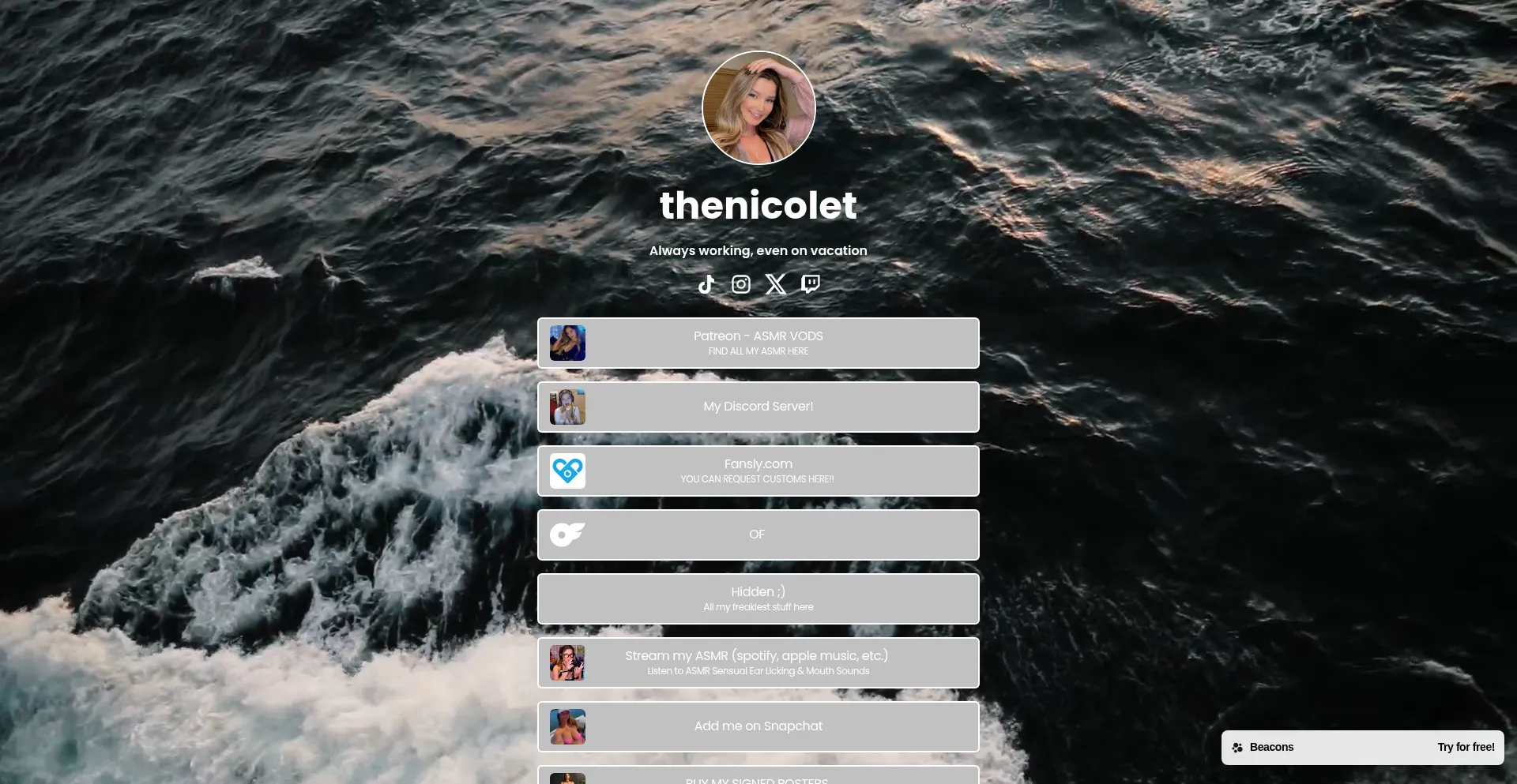 Thenicolet.net