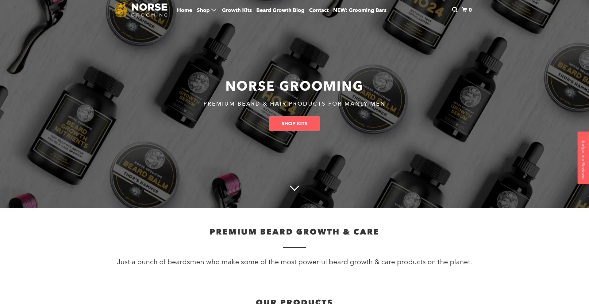 Website screenshot of Thenorsegrooming.com