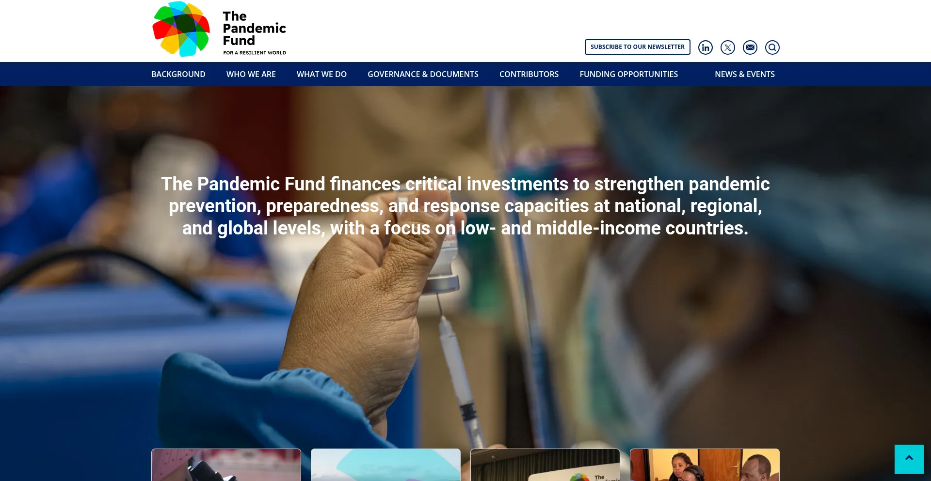 Thepandemicfund.org Screenshot