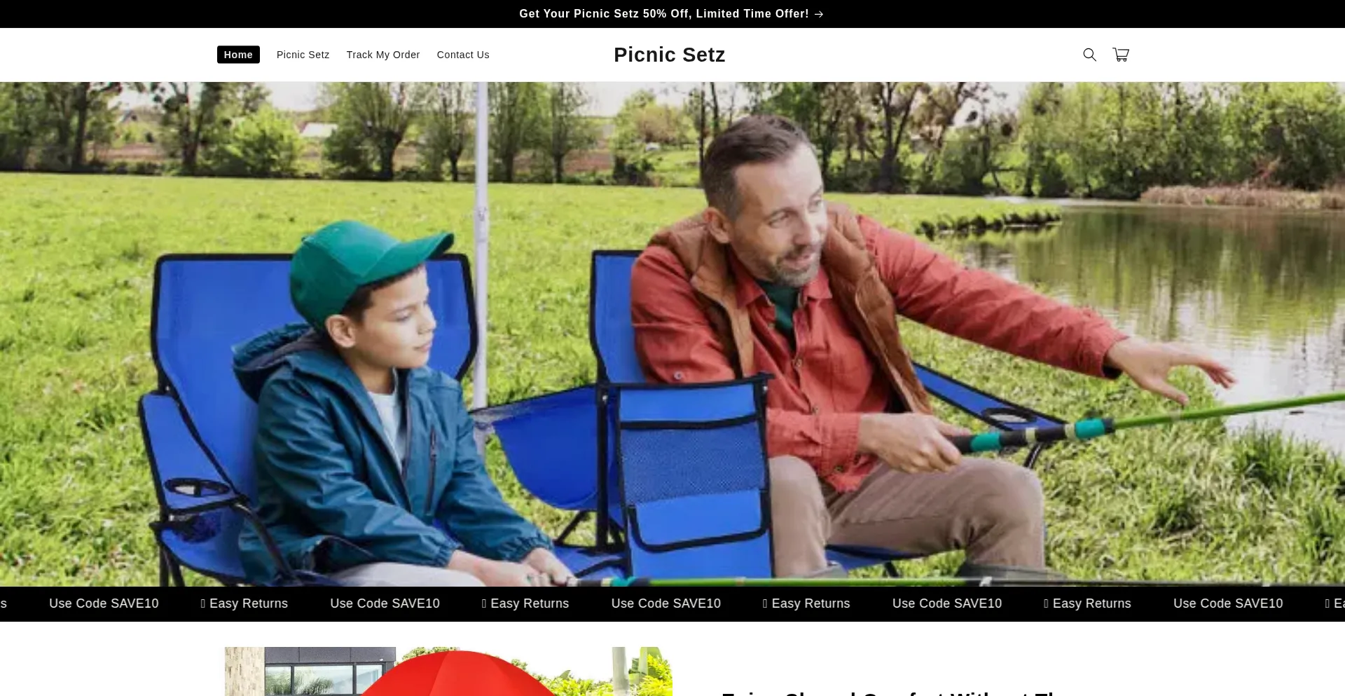 Thepicnicsetz.com