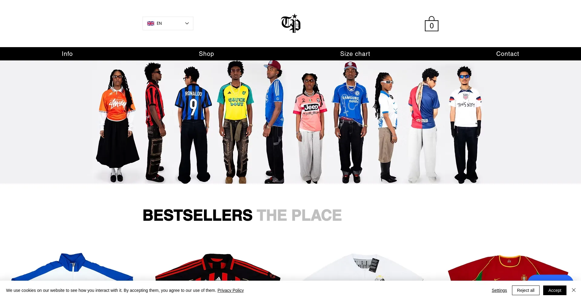 Website screenshot of Theplaceshirt.com