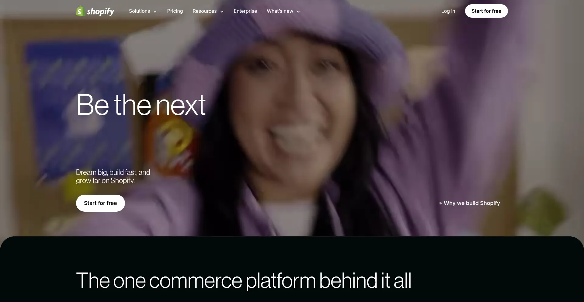 ¿És Seguro y Confiable Thesavemega.com?