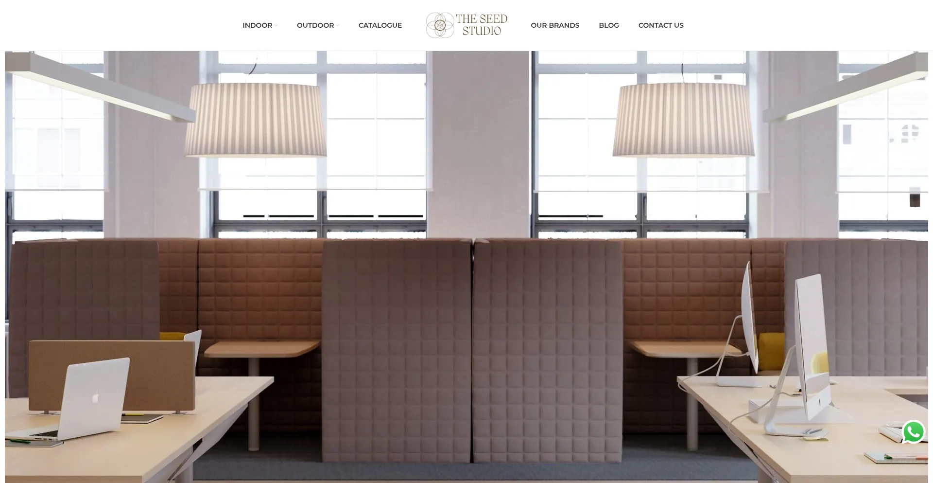 Theseedstudio.ae