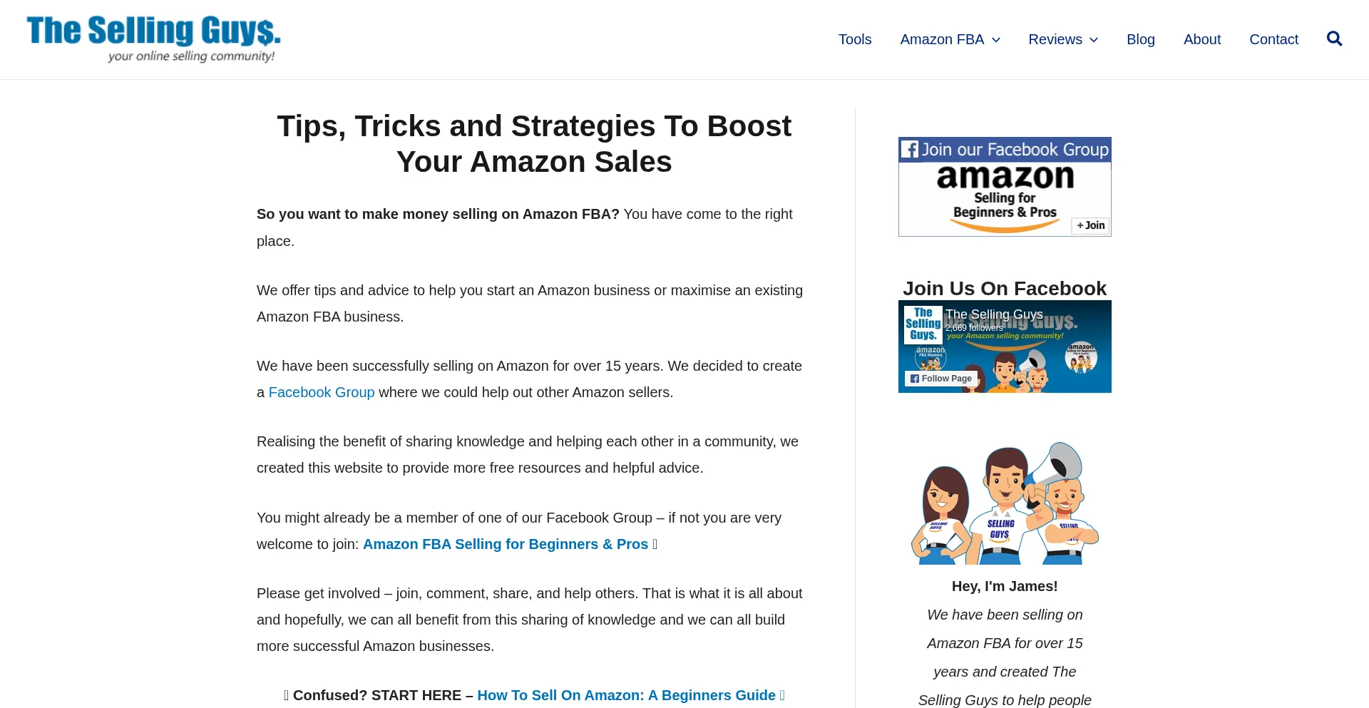 Website screenshot of Thesellingguys.com
