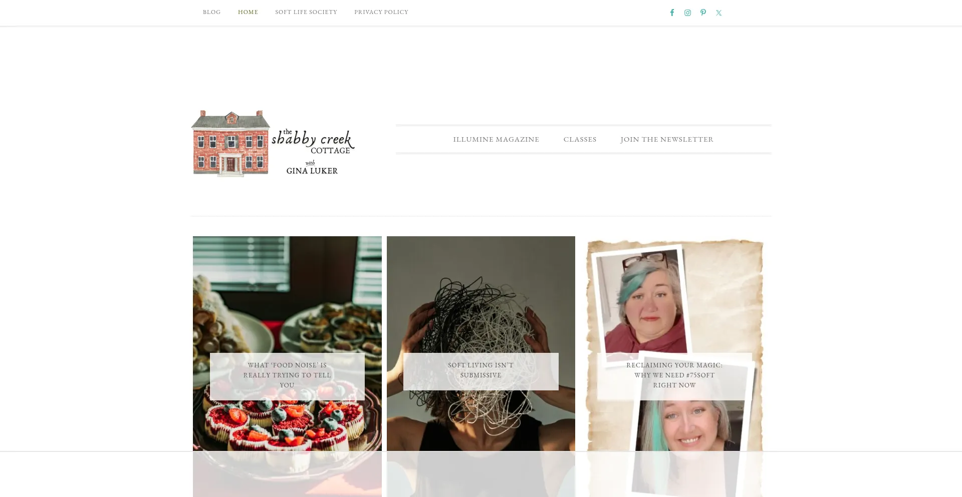 ¿És Seguro y Confiable Theshabbycreekcottage.com?